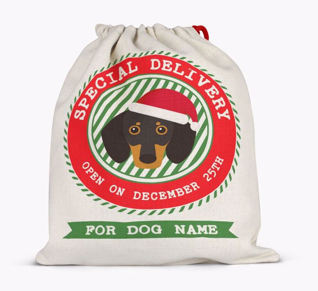 Special Delivery: Personalised {breedFullName} Santa Sack